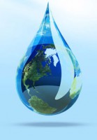 /album/greenworld/visu-dev-durable-jpg/